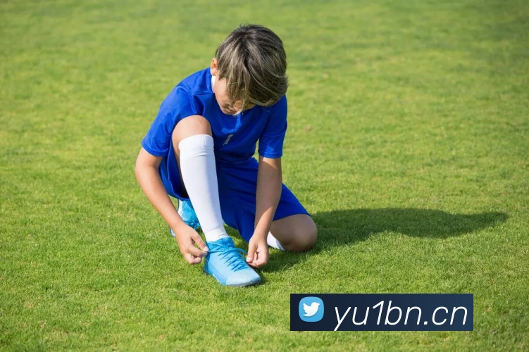 乐鱼官方网站在线注册平台生态图